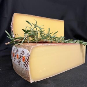 COMTÉ 8-10 MOIS DÉCLASSÉ